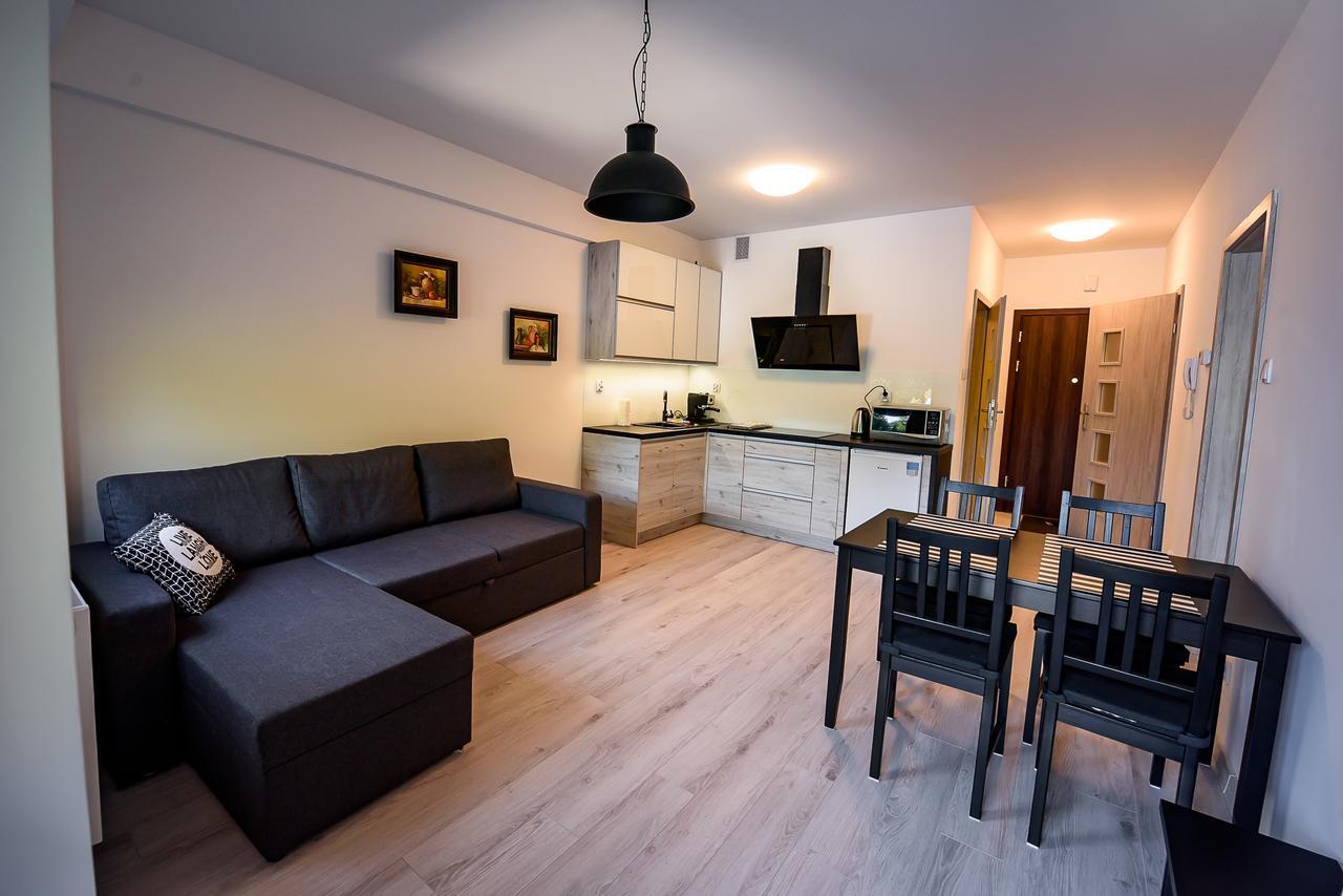 Apartamenty Sun & Snow Zielona Krynica-Zdrój Exteriér fotografie